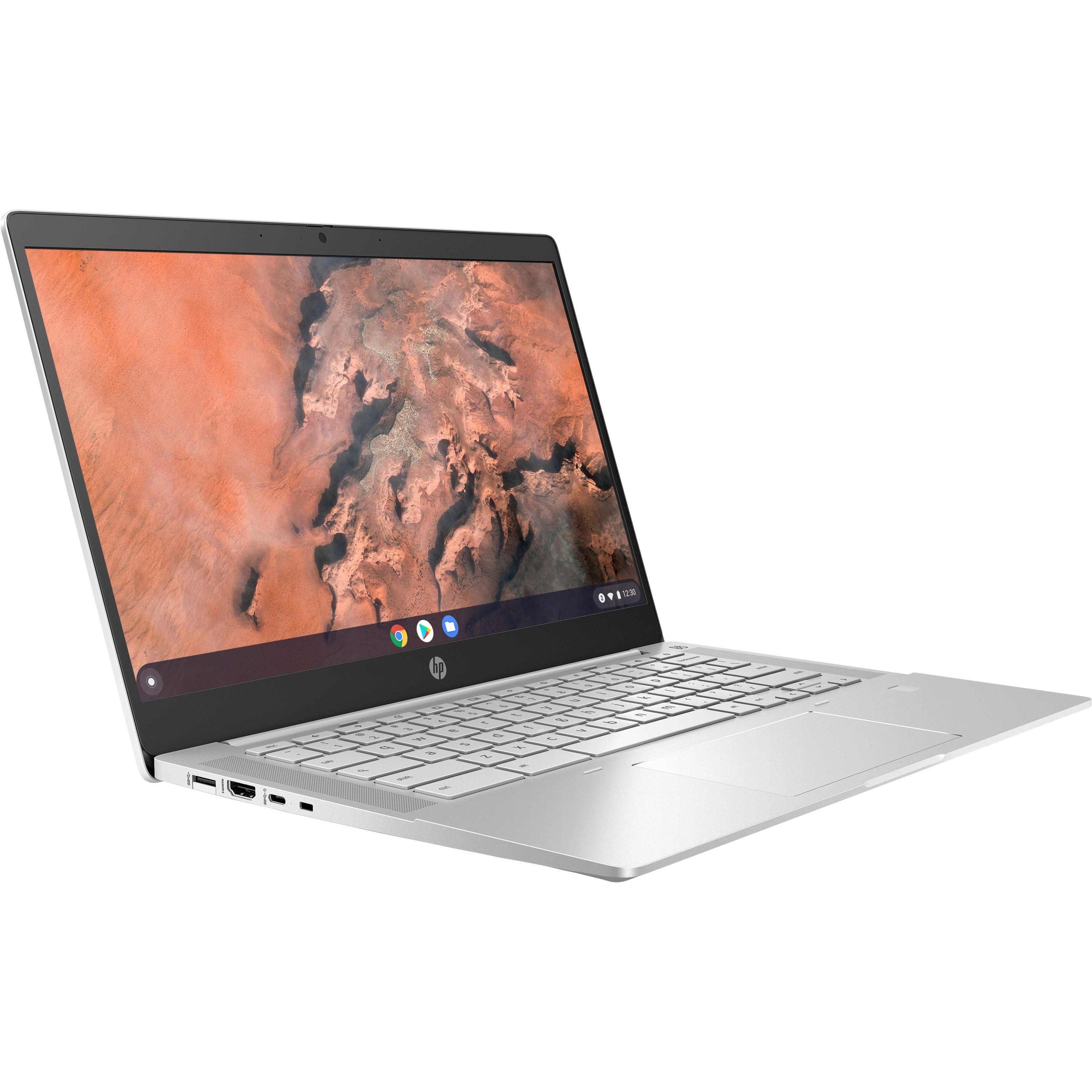HP Pro c645 14" Chromebook