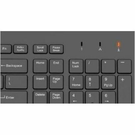 HP 150 Wired Mouse and Keyboard - USB Type A Plunger Cable Keyboard - Black - USB Type A Cable Mouse - Optical - 1600 dpi - Black - Compatible with PC, Mac — alternate image5