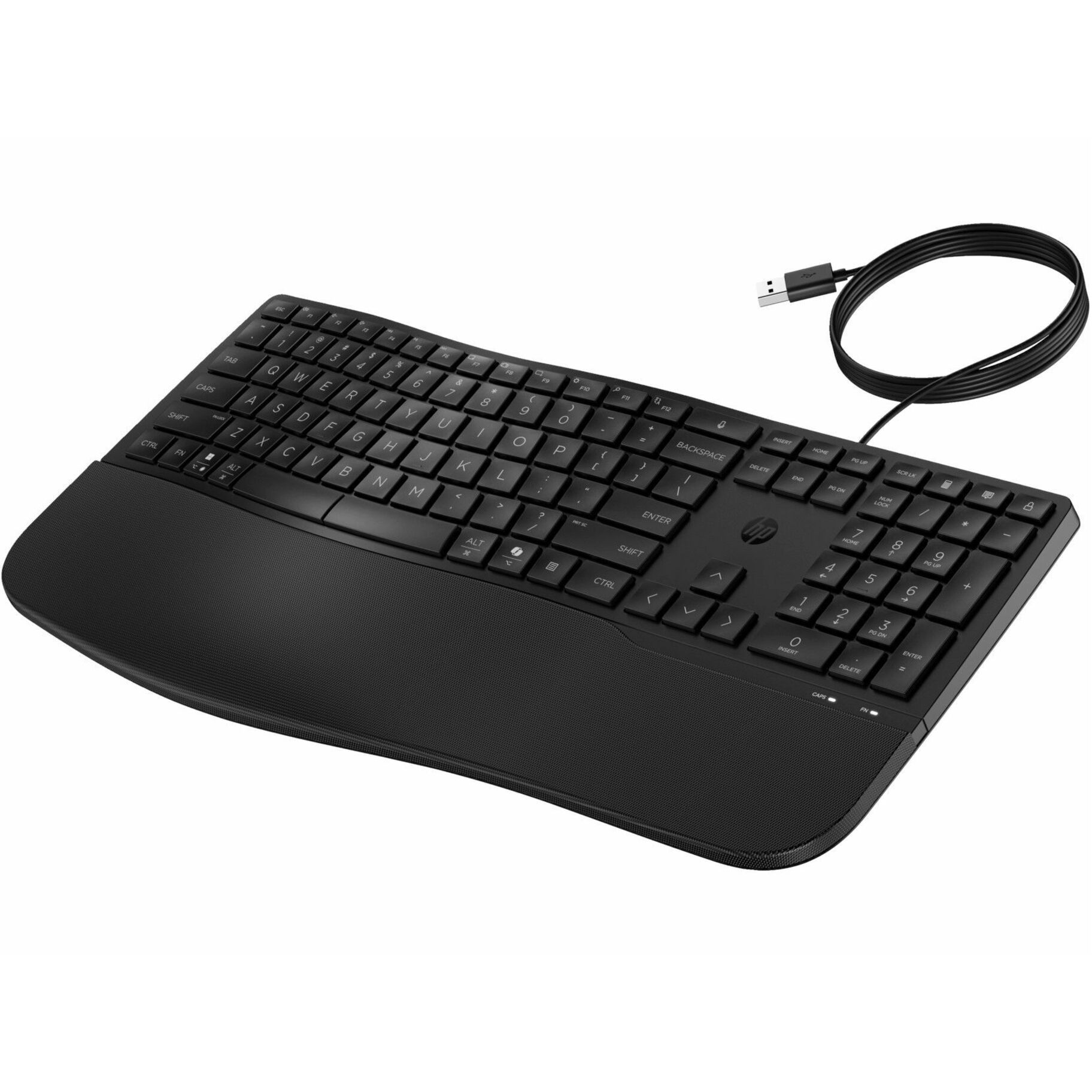 HP 485 Comfort Wired Keyboard (8T6M2AA) - Cable Connectivity - USB Type A Interface - Programmable, Dictation, Language Switch, CoPilot Hot Key(s) - Windows 11, Windows 10, macOS, iOS, ChromeOS - English (Canada) - PC, Mac - Plunger Keyswitch - Black