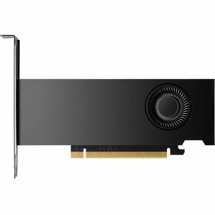 HP NVIDIA RTX 2000 Ada Graphic Card - 16 GB - 4 x Mini DisplayPort - Mini DisplayPort — alternate image2