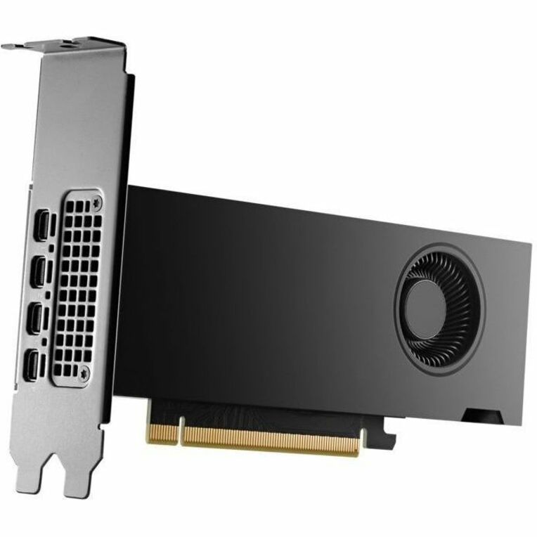 HP NVIDIA RTX 2000 Ada Graphic Card