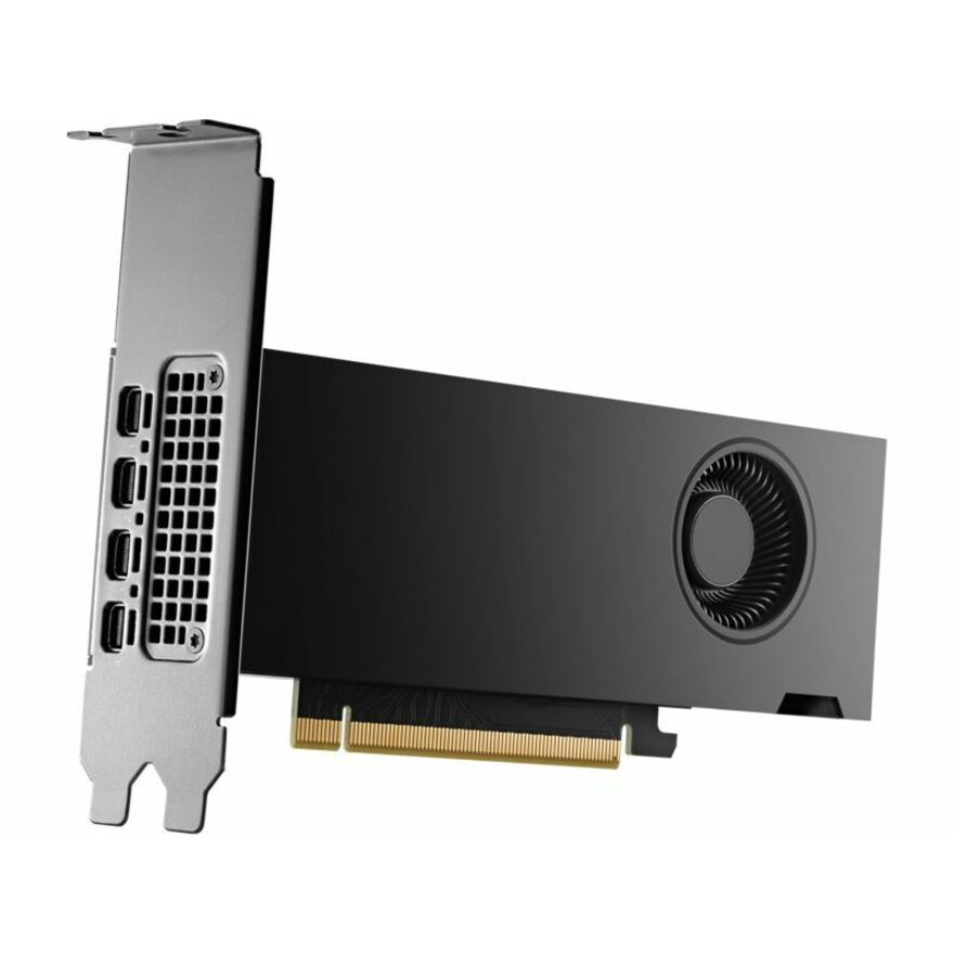 HP NVIDIA RTX 2000 Ada Graphic Card - 16 GB - 4 x Mini DisplayPort - Mini DisplayPort