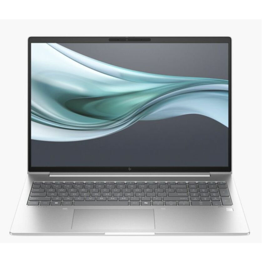 HP EliteBook 660 G11 16" Notebook - WUXGA - 60 Hz - Intel Core Ultra 5 125U - vPro Technology - 16 GB - 256 GB SSD - Pike Silver - Intel Chip - 1920 x 1200 - Windows 11 Pro - Intel - In-plane Switching (IPS) Technology - IEEE 802.11ax Wireless LAN Standard