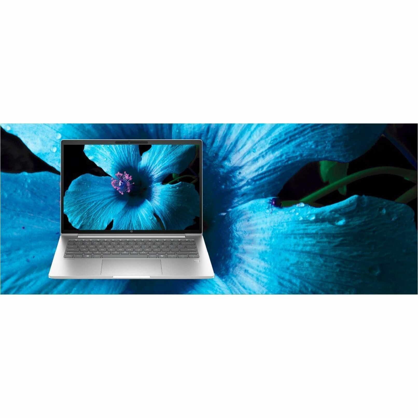 HP ProBook 4 G1i 14" Notebook - WUXGA - 60 Hz - Intel Core Ultra 5 225U - 16 GB - 512 GB SSD - Pike Silver - Intel Chip - 1920 x 1200 - Windows 11 Pro - Intel - In-plane Switching (IPS) Technology - Front Camera/Webcam - 14.50 Hours Battery Run Time - IEEE 802.11ax Wireless LAN Standard - Wi-Fi 6E — alternate image11