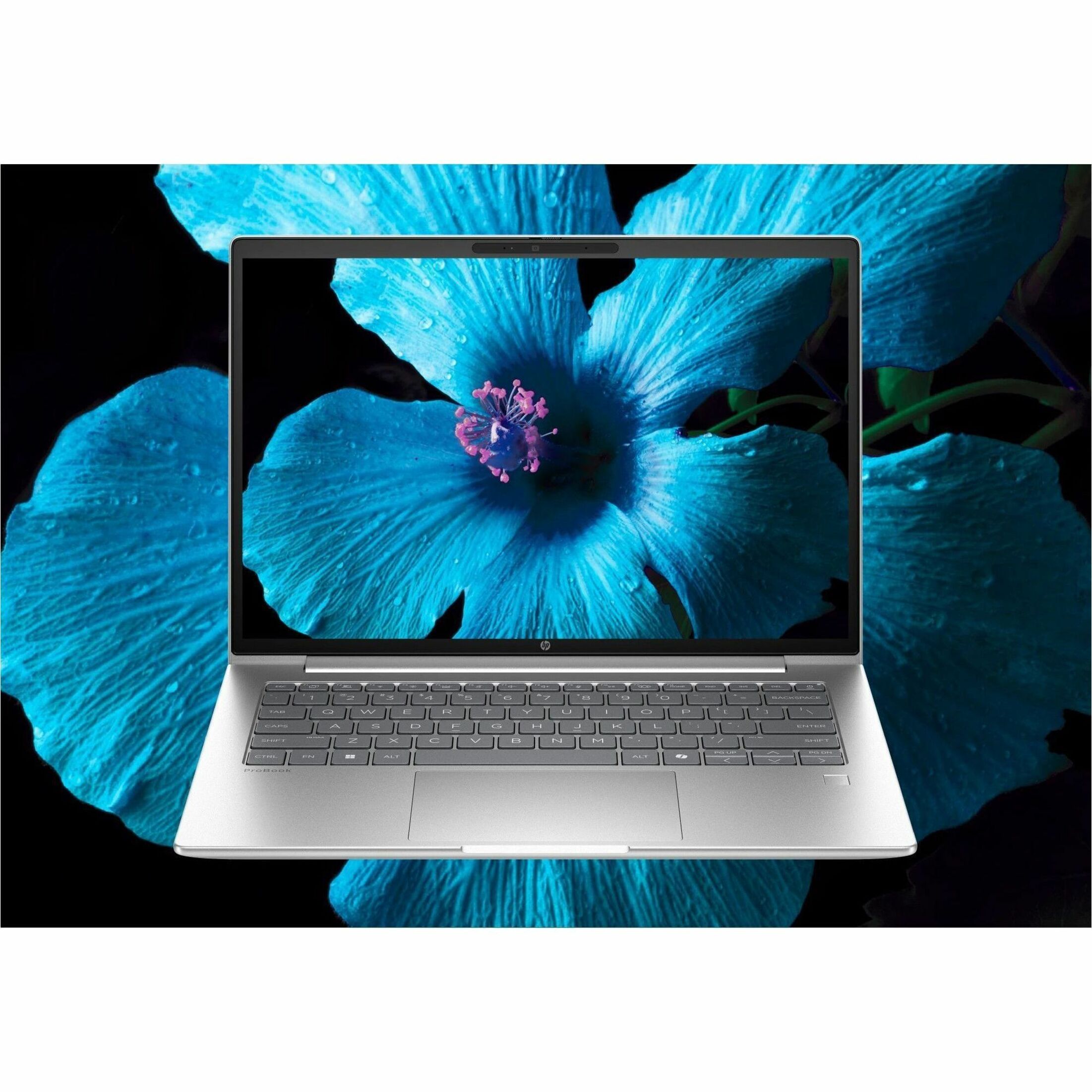 HP ProBook 4 G1a 14" Notebook - 4G - 60 Hz - AMD Ryzen 7 250 - 16 GB - 512 GB SSD - AMD Chip - LTE Advanced, HSPA+ - AMD — alternate image11