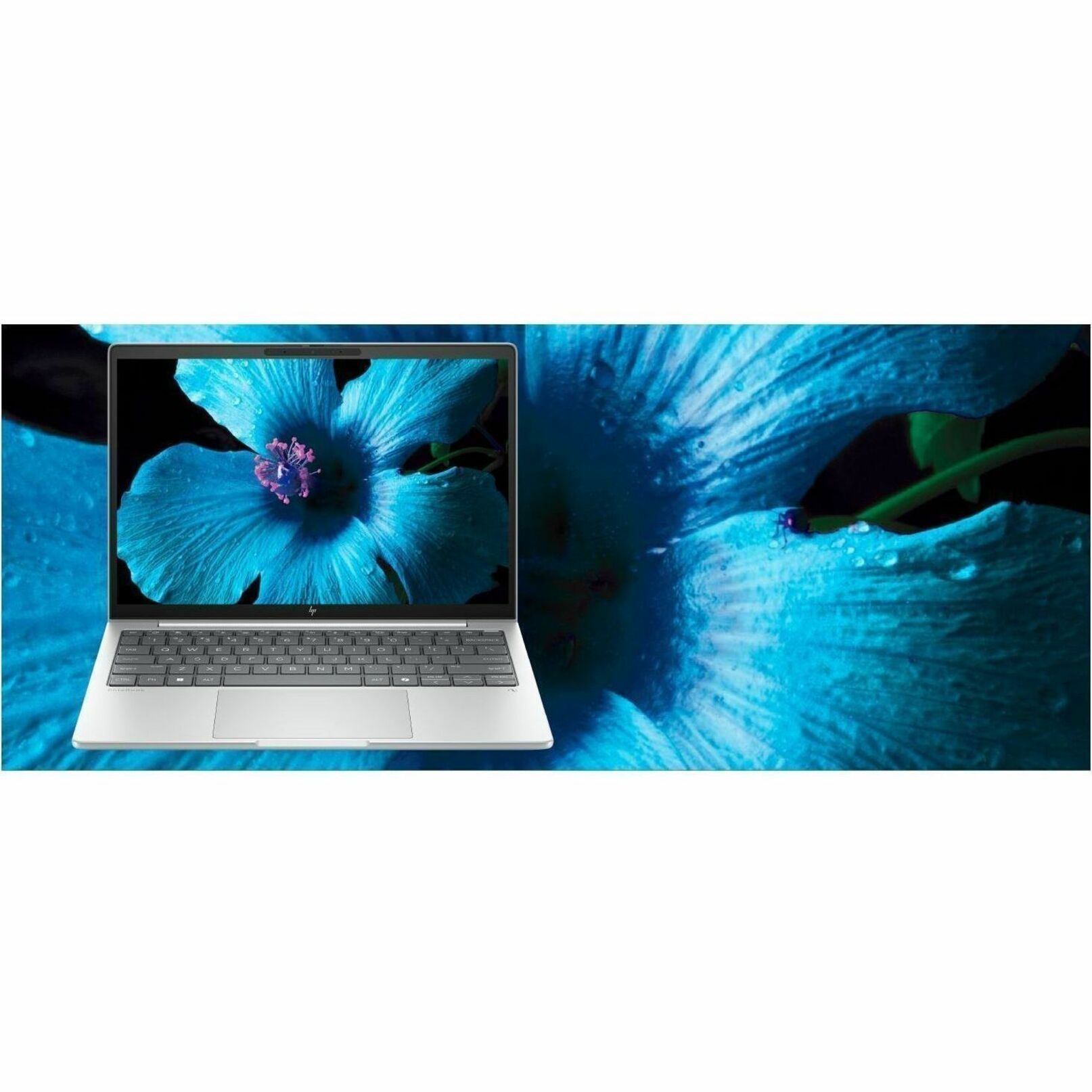 HP EliteBook 8 G1a 13.3" Notebook - WUXGA - 60 Hz - AMD Ryzen 7 250 - 32 GB - 1 TB SSD - English, French Keyboard - Smart Card Reader - Glacier Silver - AMD Chip - 1920 x 1200 - Windows 11 Pro - AMD Radeon 780M Graphics - In-plane Switching (IPS) Technology - Front Camera/Webcam - IEEE 802.11be Wireless LAN Standard - Wi-Fi 7 — alternate image10