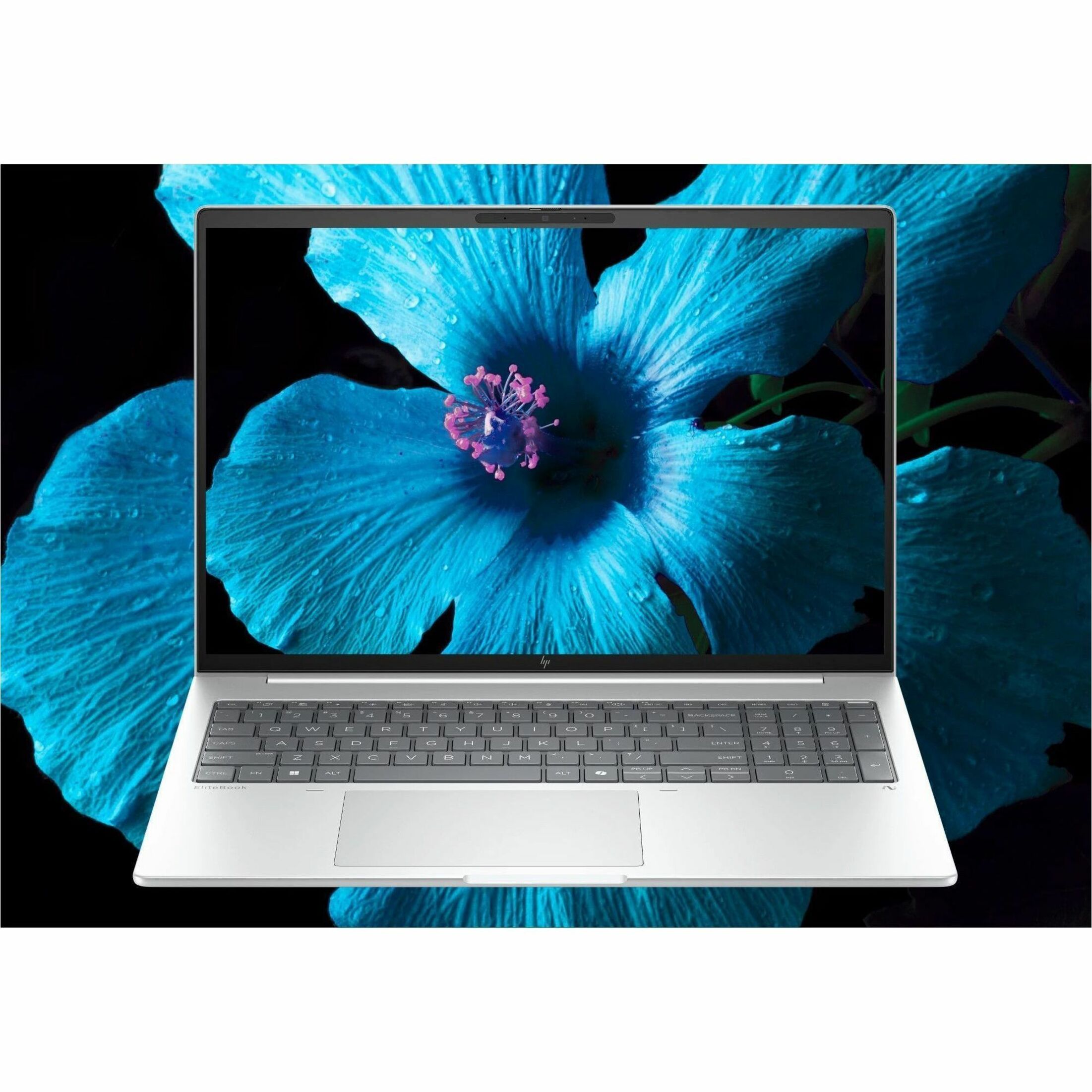 HP EliteBook 8 G1i 16" Notebook - Intel Core Ultra 7 265U - 64 GB - 1 TB SSD - Intel Chip - Intel — alternate image12