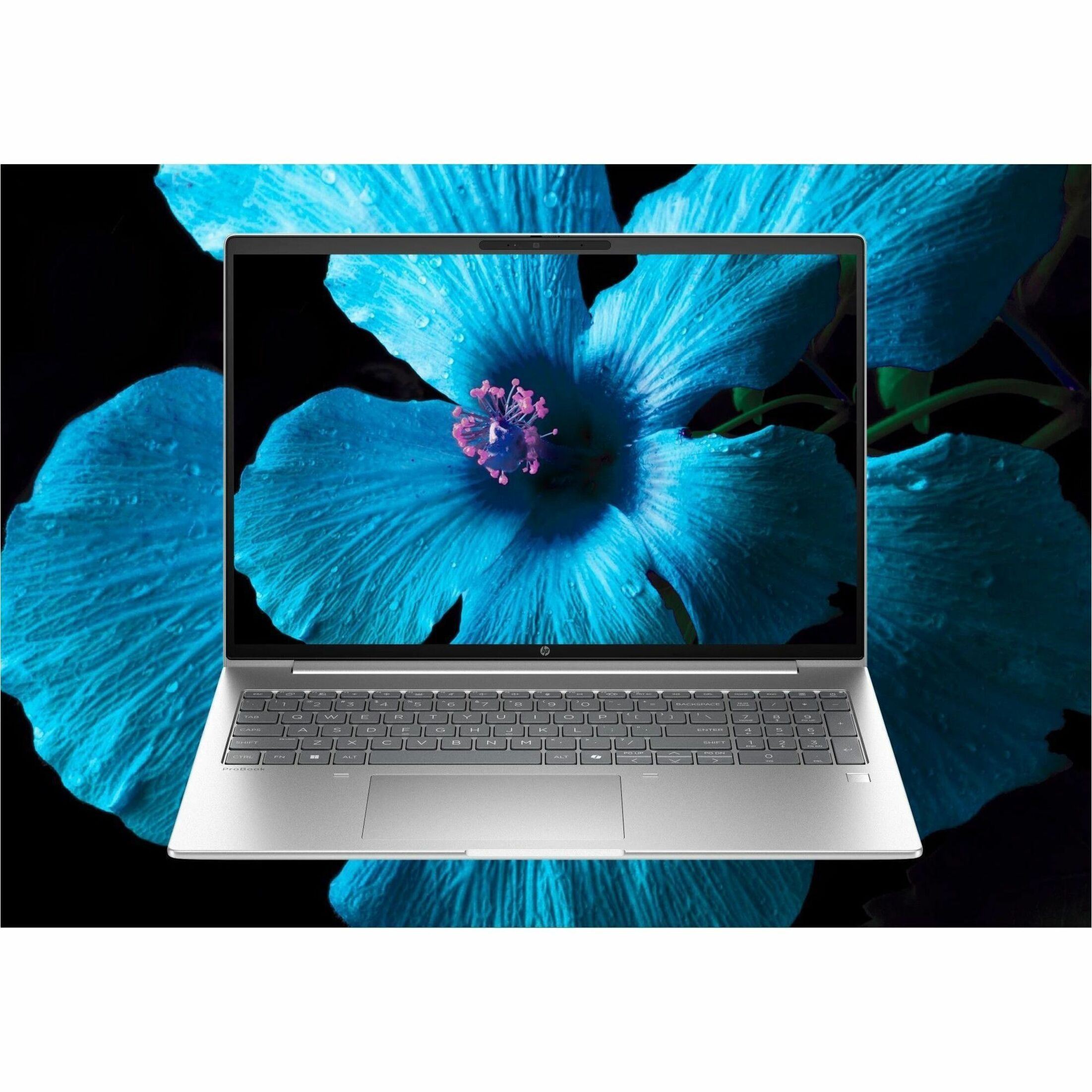 HP ProBook 4 G1a 16" Notebook - 4G - 60 Hz - AMD Ryzen 7 Ryzen 200 Series 250 - 16 GB - 512 GB SSD - AMD Chip - LTE Advanced, HSPA+ - AMD — alternate image10