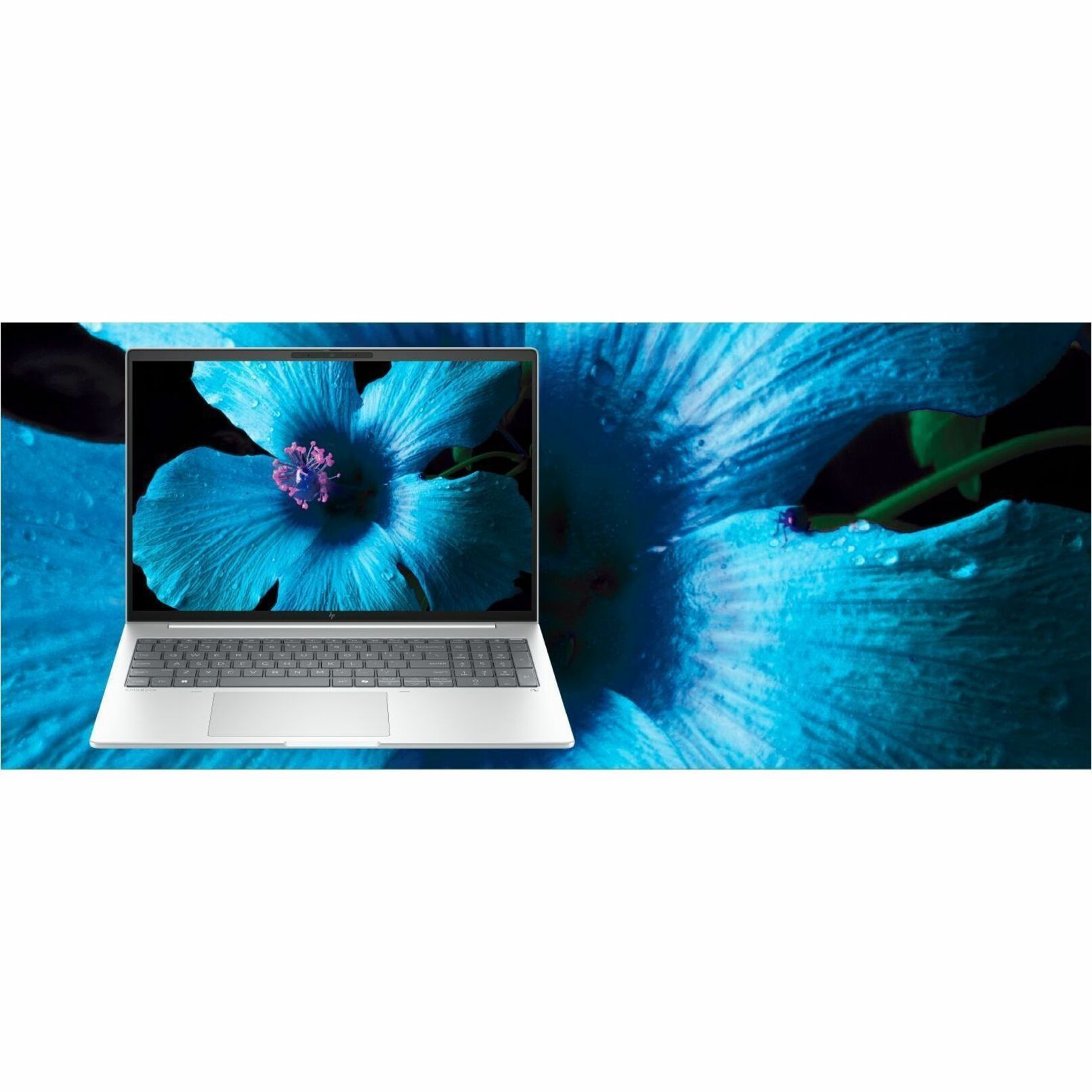 HP EliteBook 8 G1i 14" Notebook - Intel Core Ultra 5 Series 2 235U - 24 GB - 512 GB SSD - Intel Chip - Intel - 16.75 Hours Battery Run Time — alternate image11